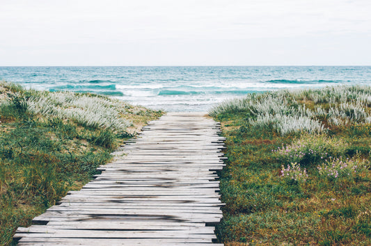 boardwalk leading to a beach